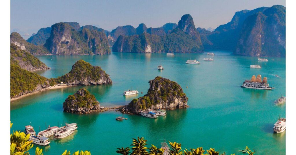 Dịch vụ tour
