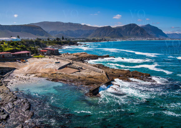 Hermanus – Thiên đường ngắm cá voi từ đất liền tại Nam Phi